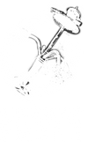 Authentic-Smoke Logo